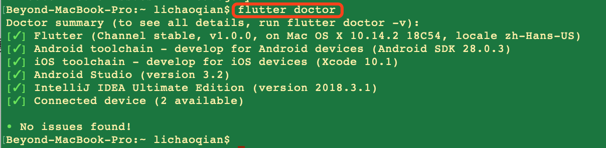 flutter doctor 检测出无问题